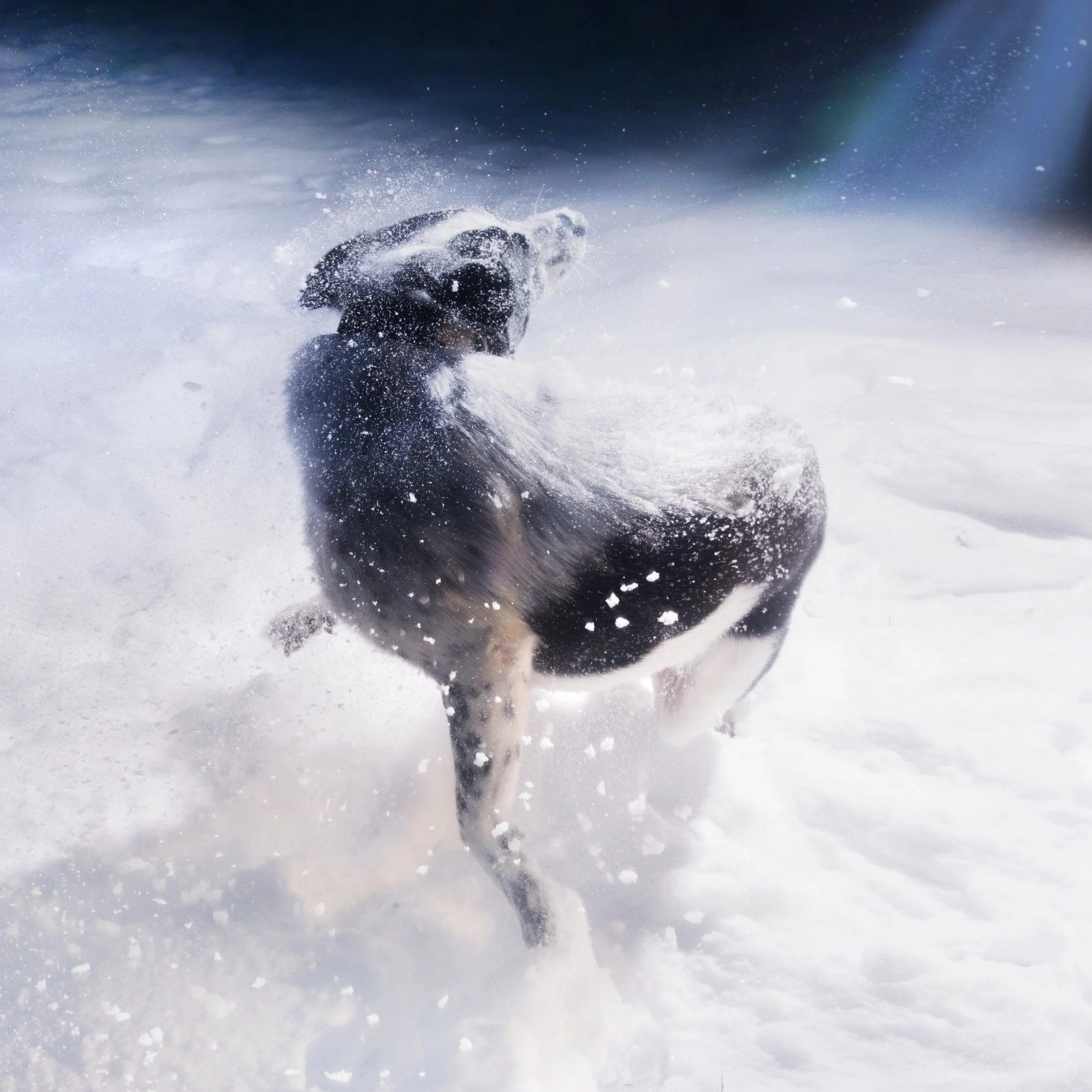 Album Cover_square_sm.jpg