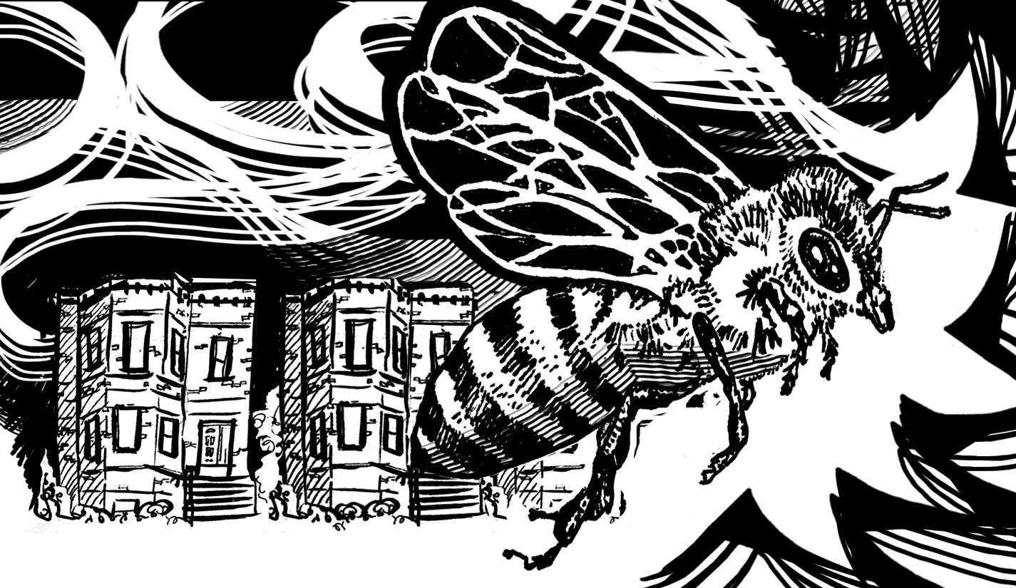 “City Swarm,” Kenyon Review, graphic essay