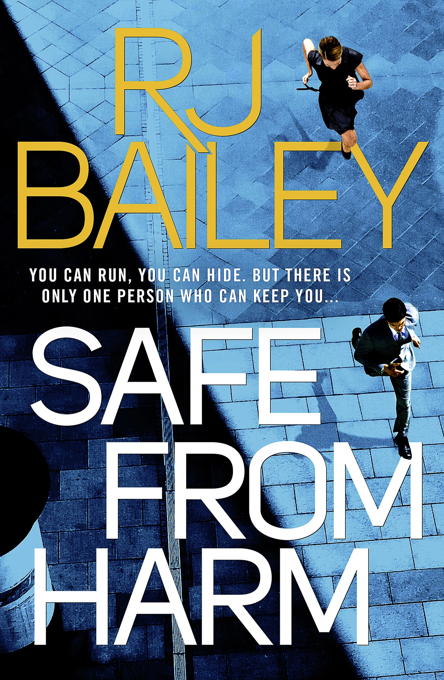 SAFE_FROM HARM.jpg