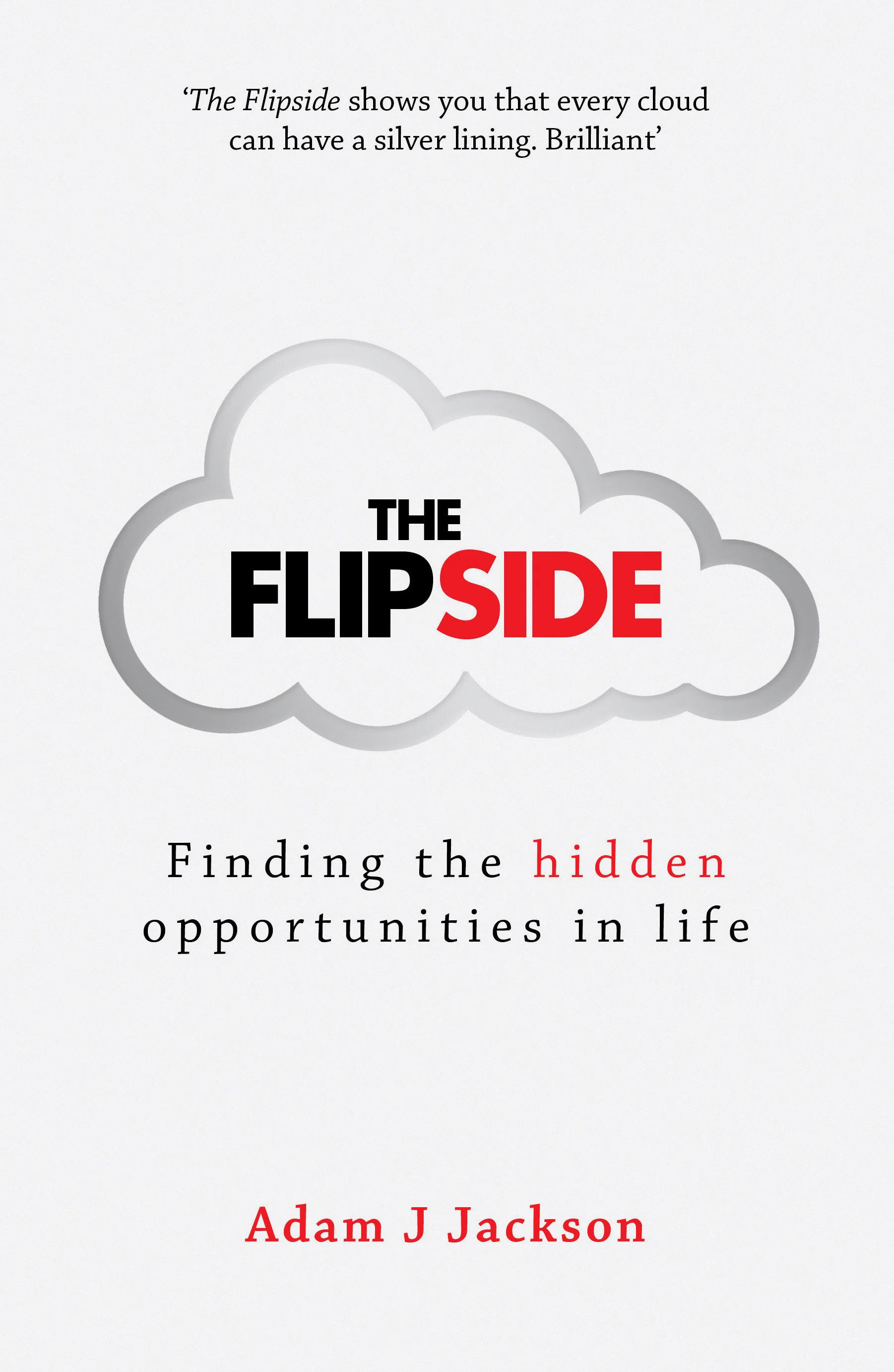 THE_FLIPSIDE.jpg
