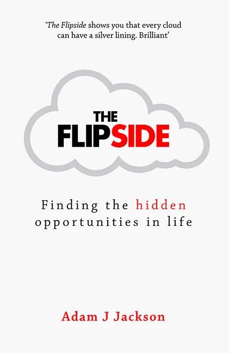 flipside_thumb2.jpg
