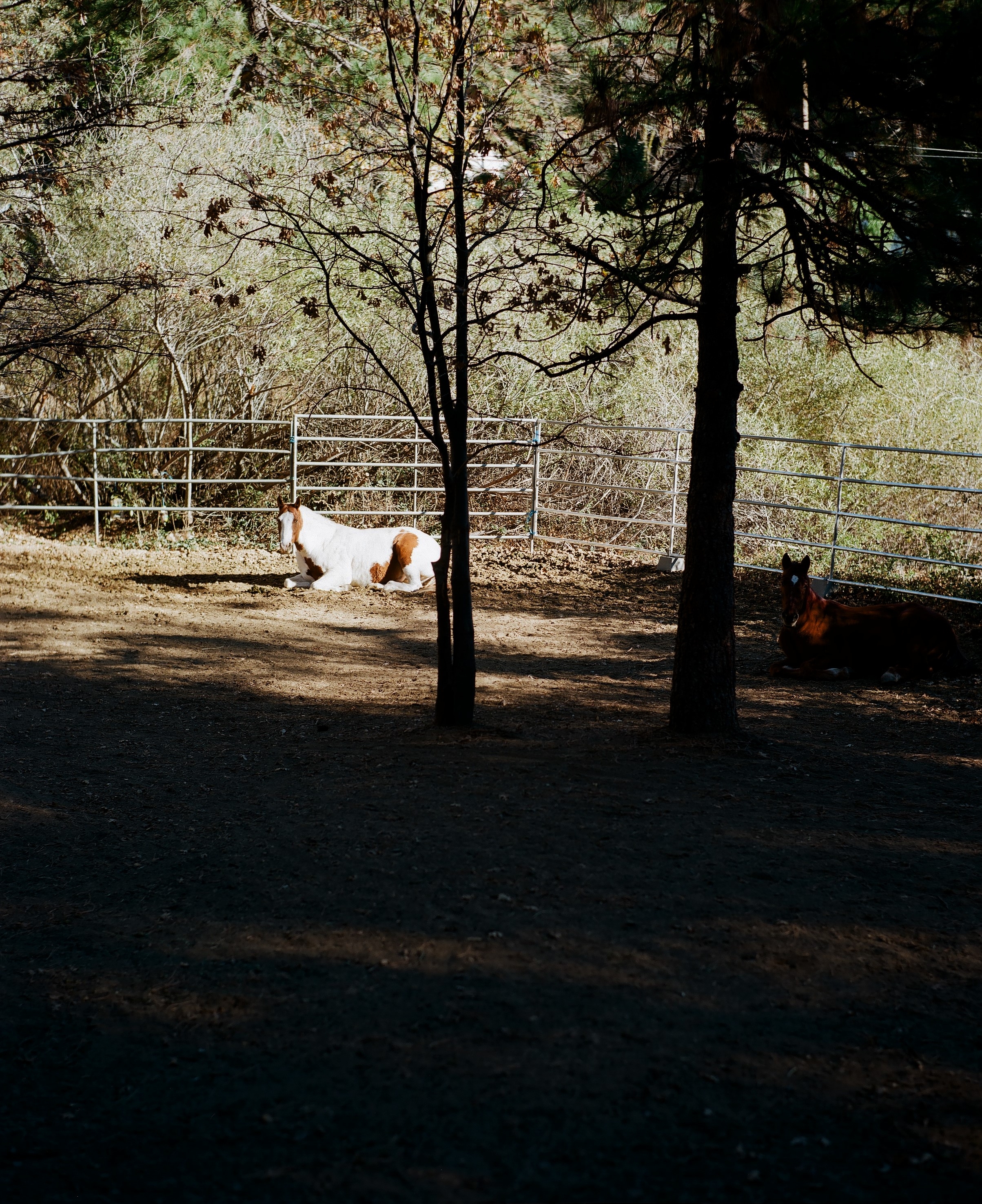 Crestline, California