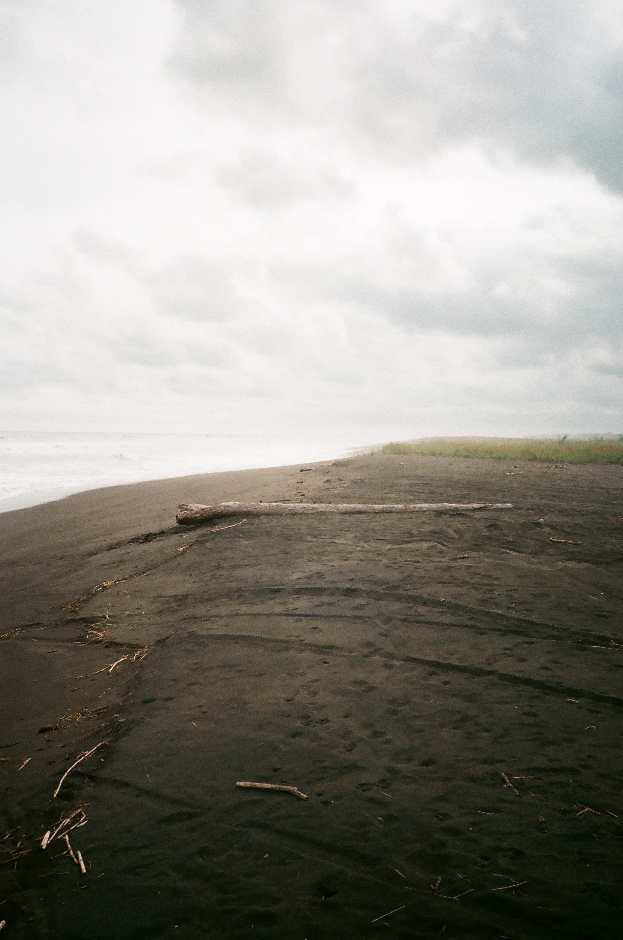 Playa Palo Seco, Puntarenas Province, Costa Rica