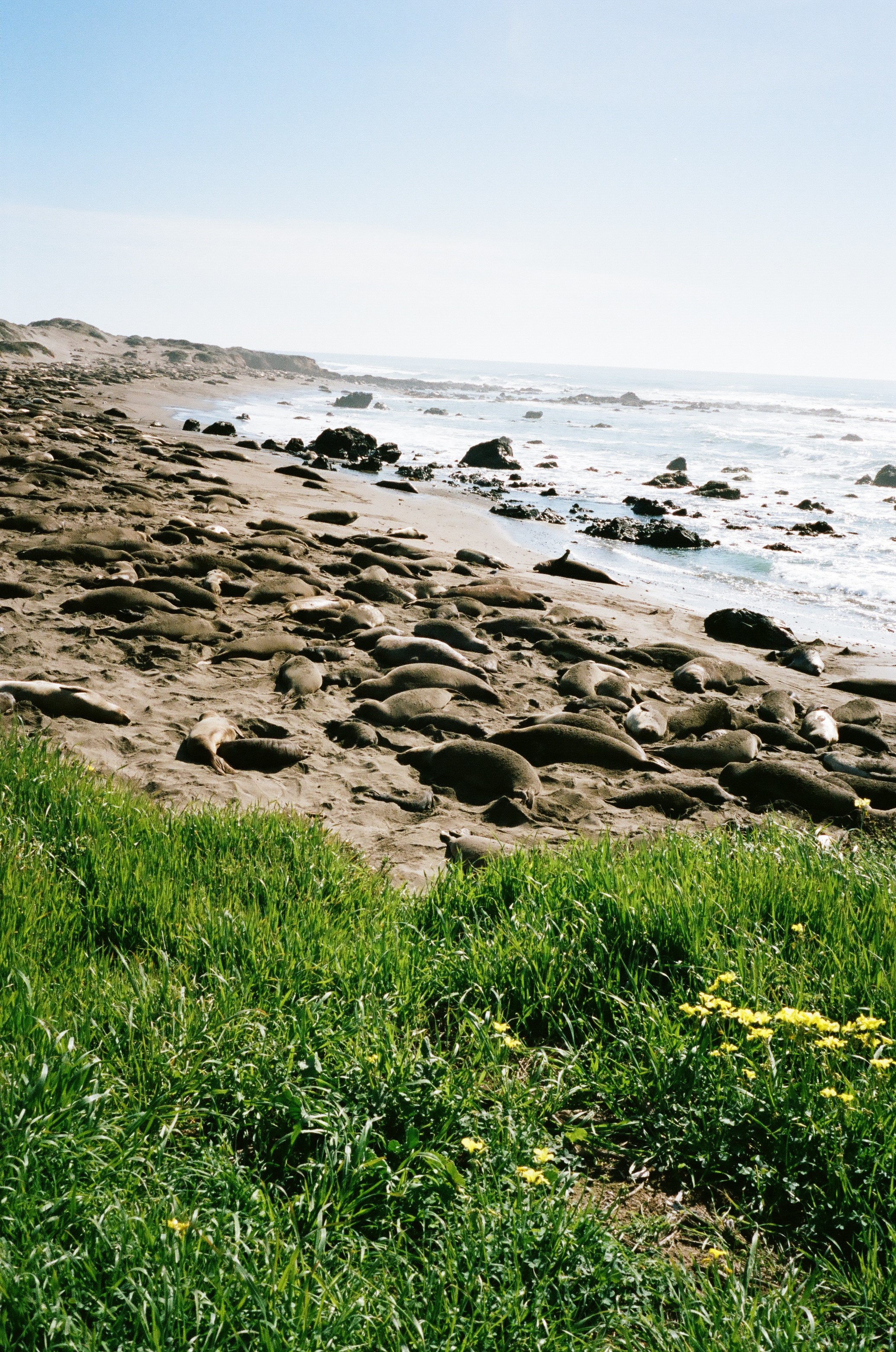 San Simeon, California