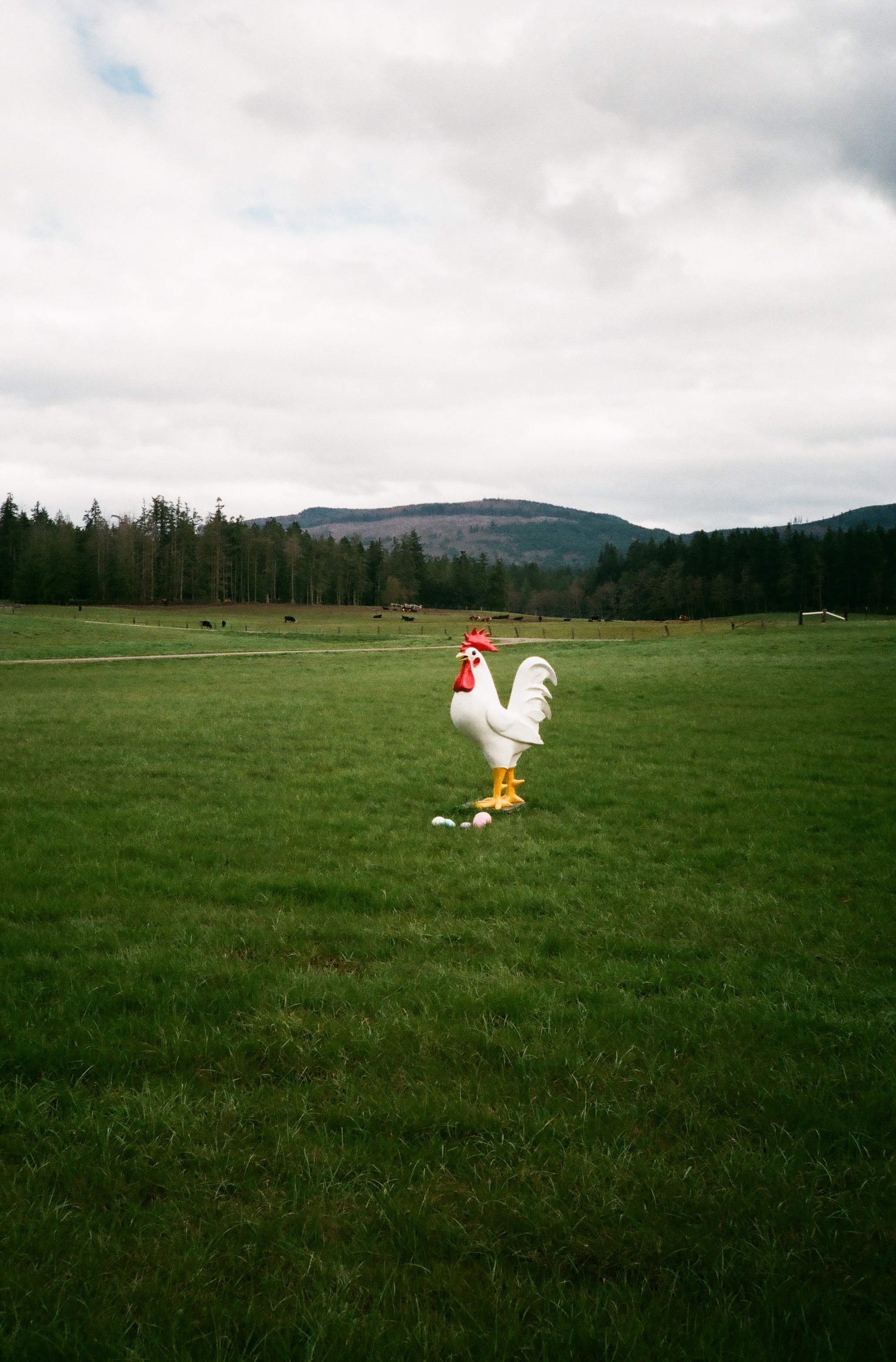 Elwha, Washington