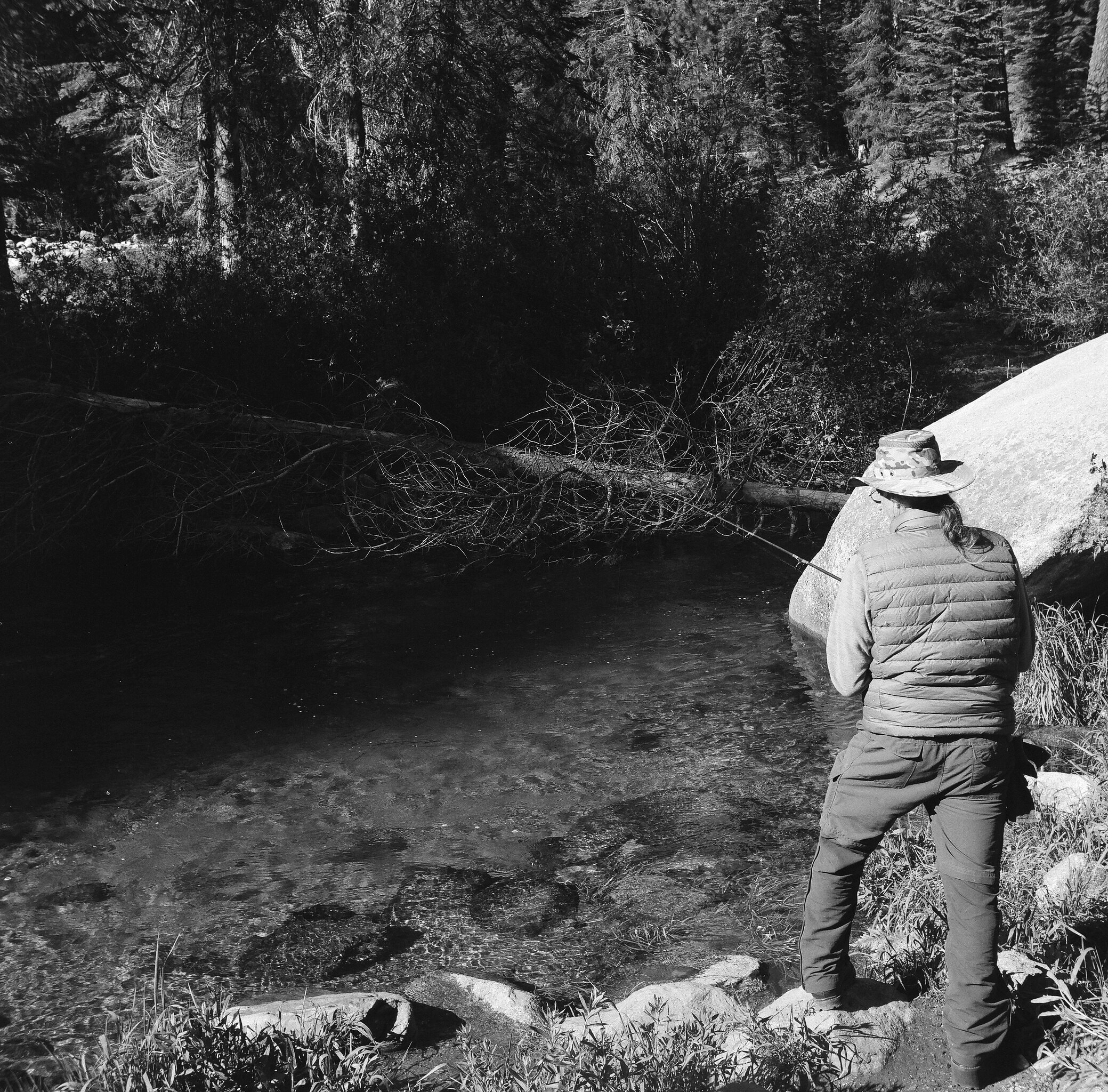 Dad, Upper Stony Creek, Sequoia National Park, California