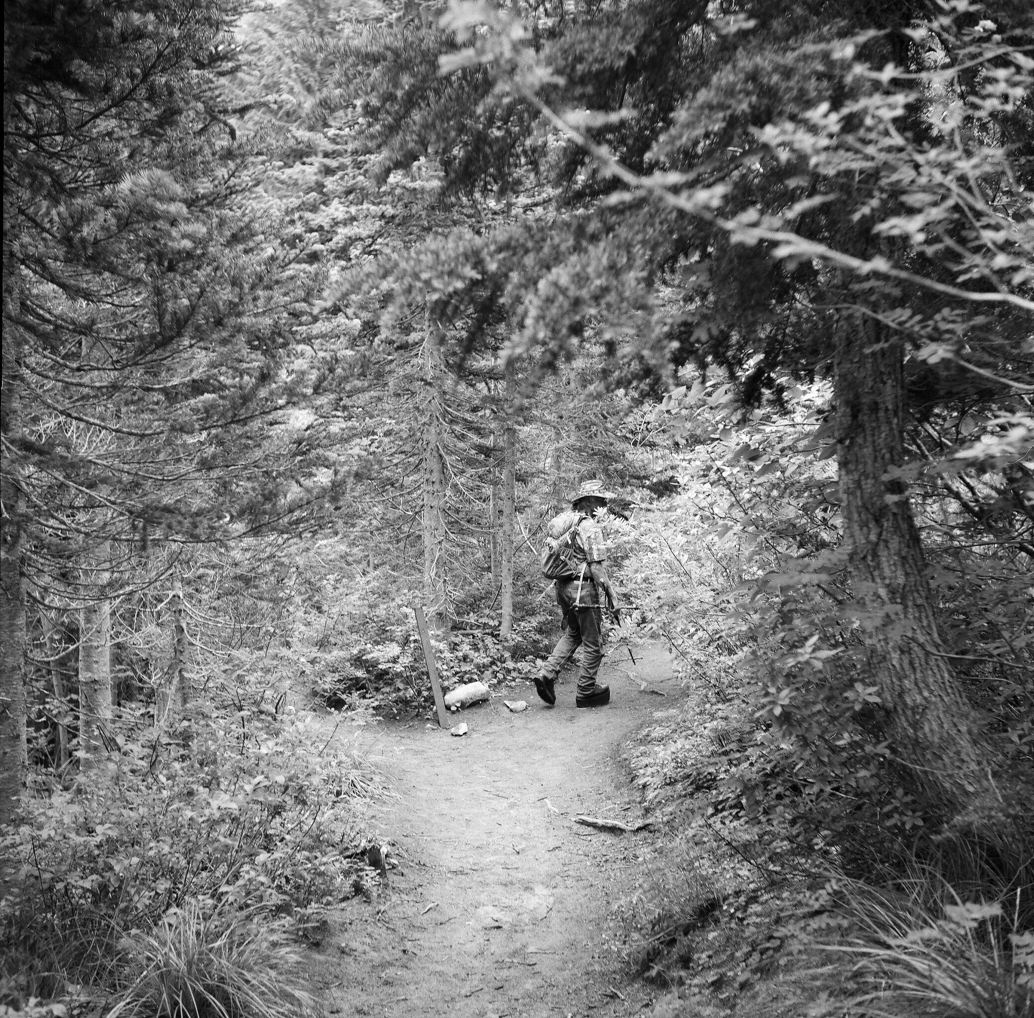 Dad, Snow Lake Trail, Mt Rainier National Park, Washington