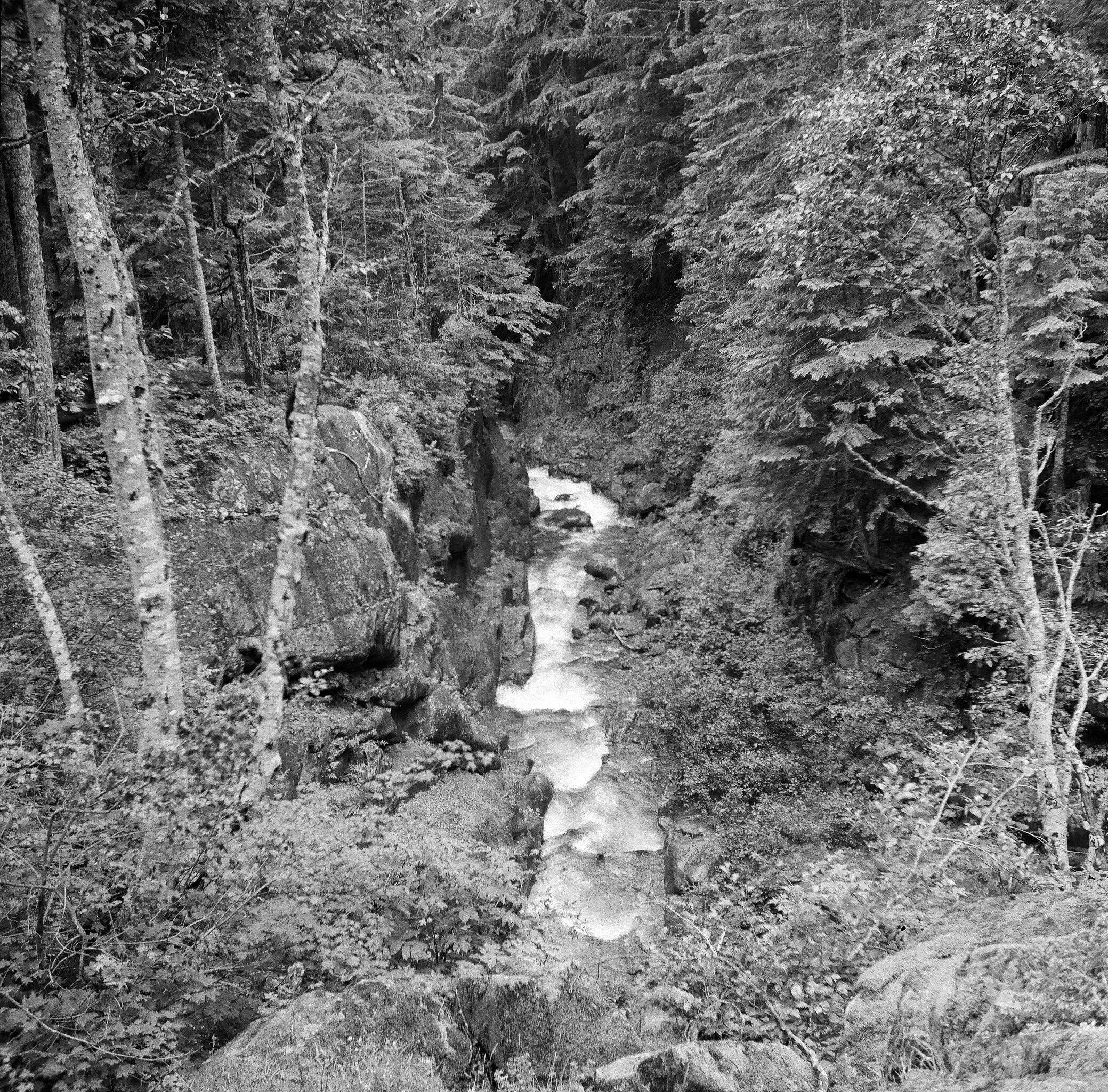 Van Trump Creek, Mt. Rainier National Park, Washington