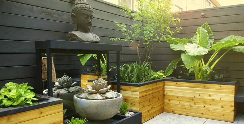 baliheader.jpg