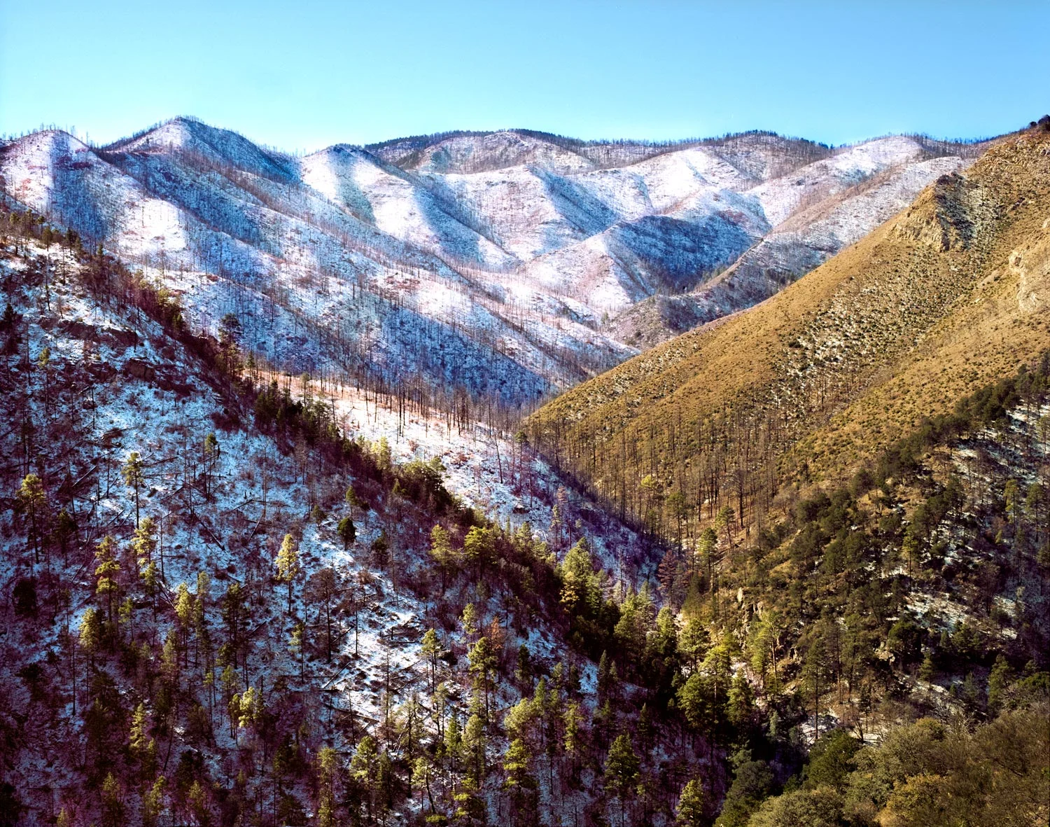 Emory Pass at Gila National Forest. Hillsboro, New Mexico. © Scott Cartwright 2016.