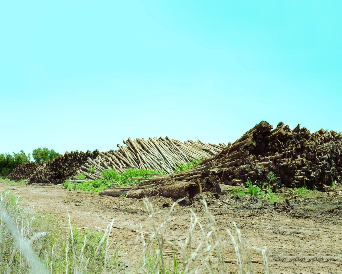 Clearcutting for Mulch. Dupont, Florida. © Studio WAC 2017.