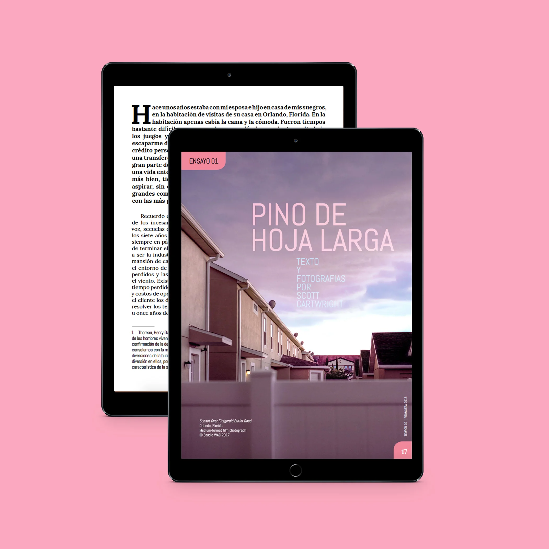Tempor-Digital-Edition-Mailchimp-sq-3.jpg