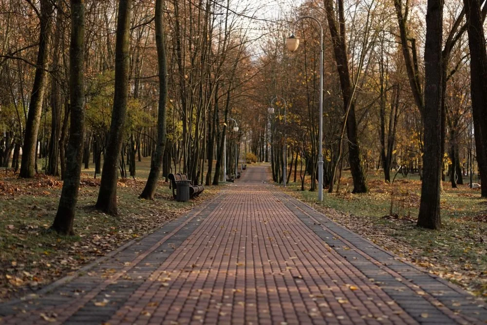 Brick paver walkway through a tree-lined park
