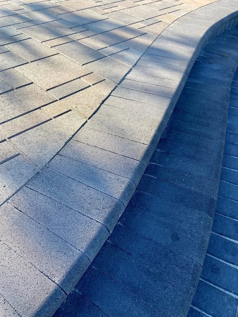 How to Remove Moss From Pavers — Aviara Pavers