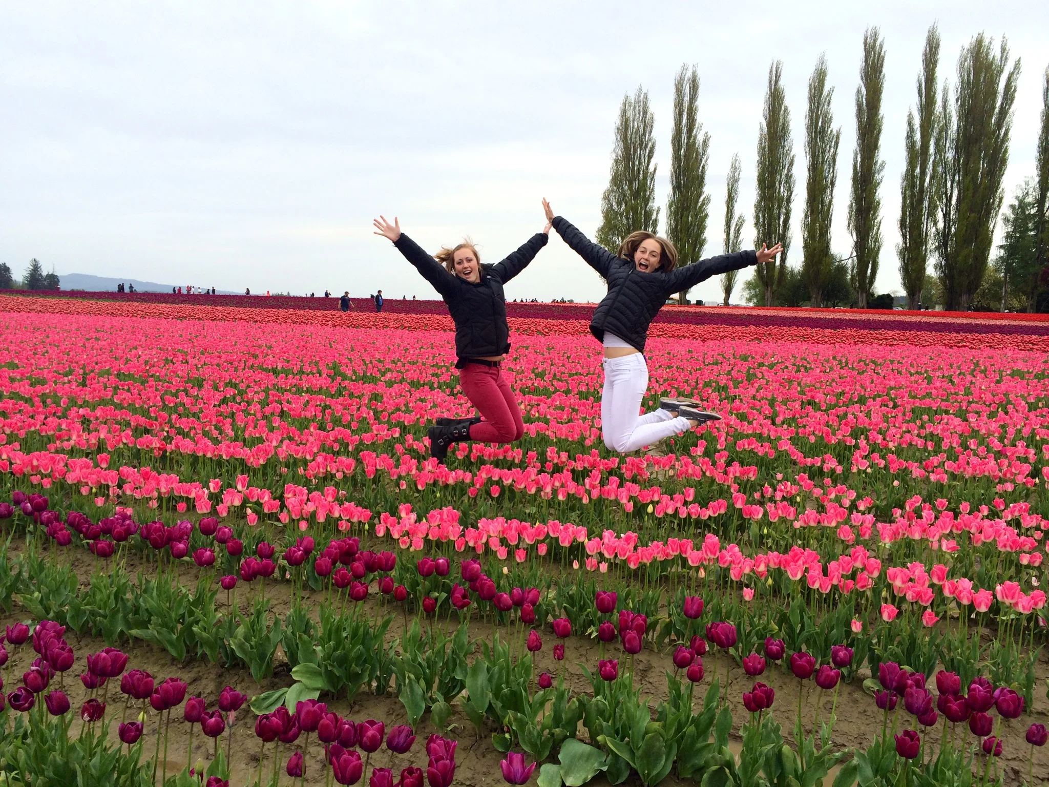 Letter To My Daughters