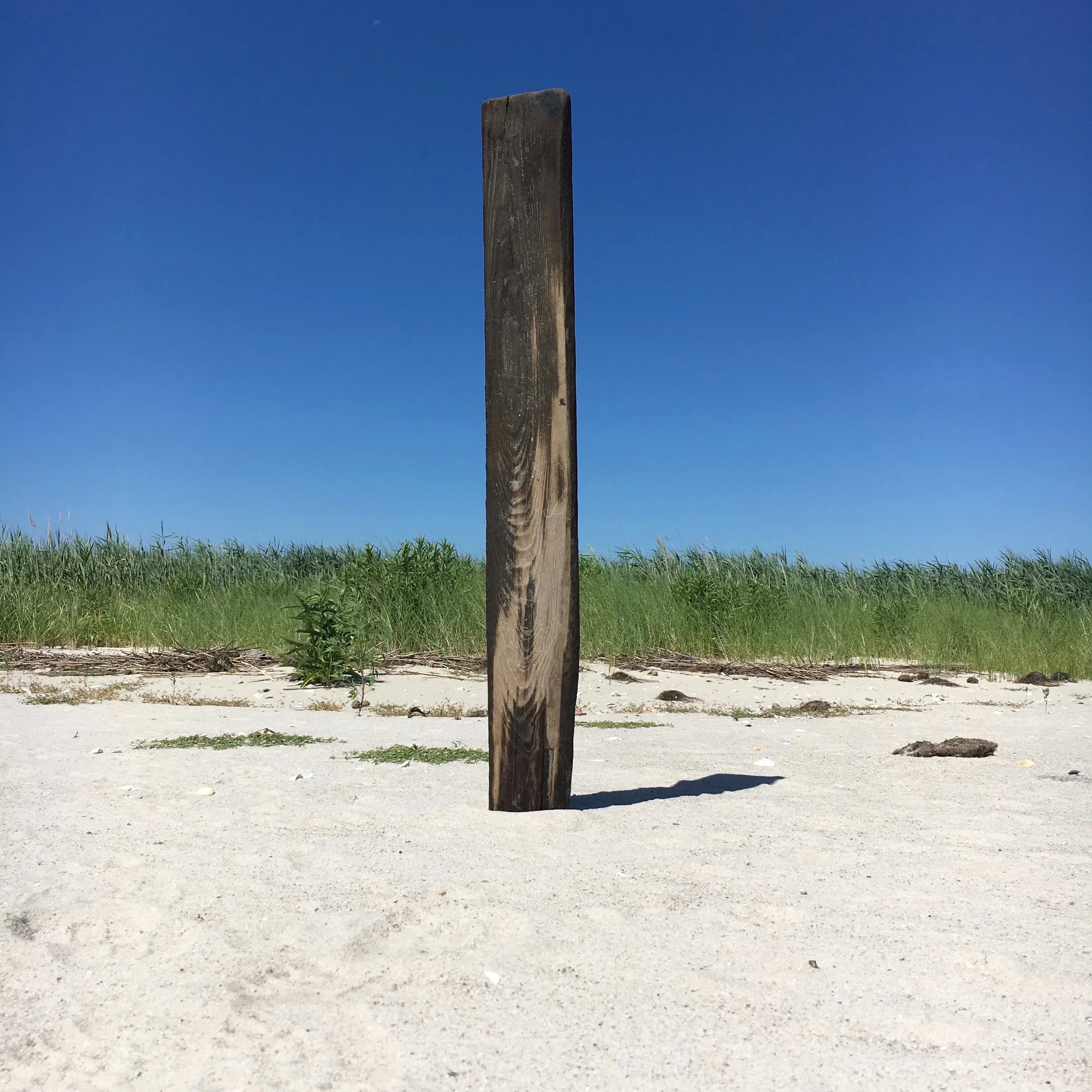 Stele 2017 · digital archival color print, acrylic mounted · 15"x15" 