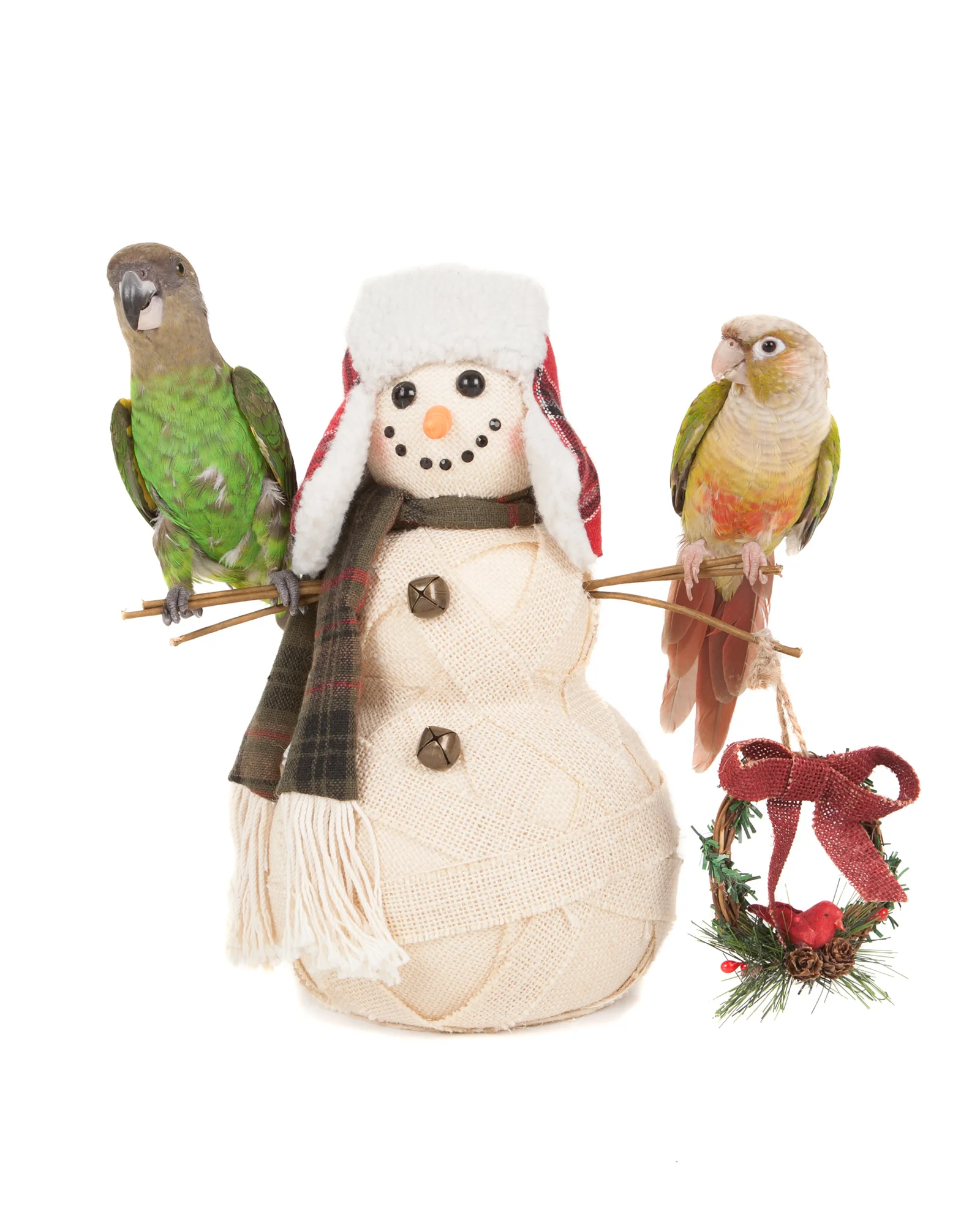Birds on Snowman.jpg
