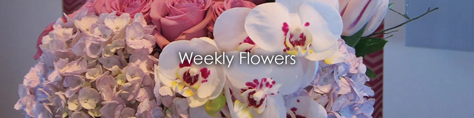 Weekly Flowers.jpg