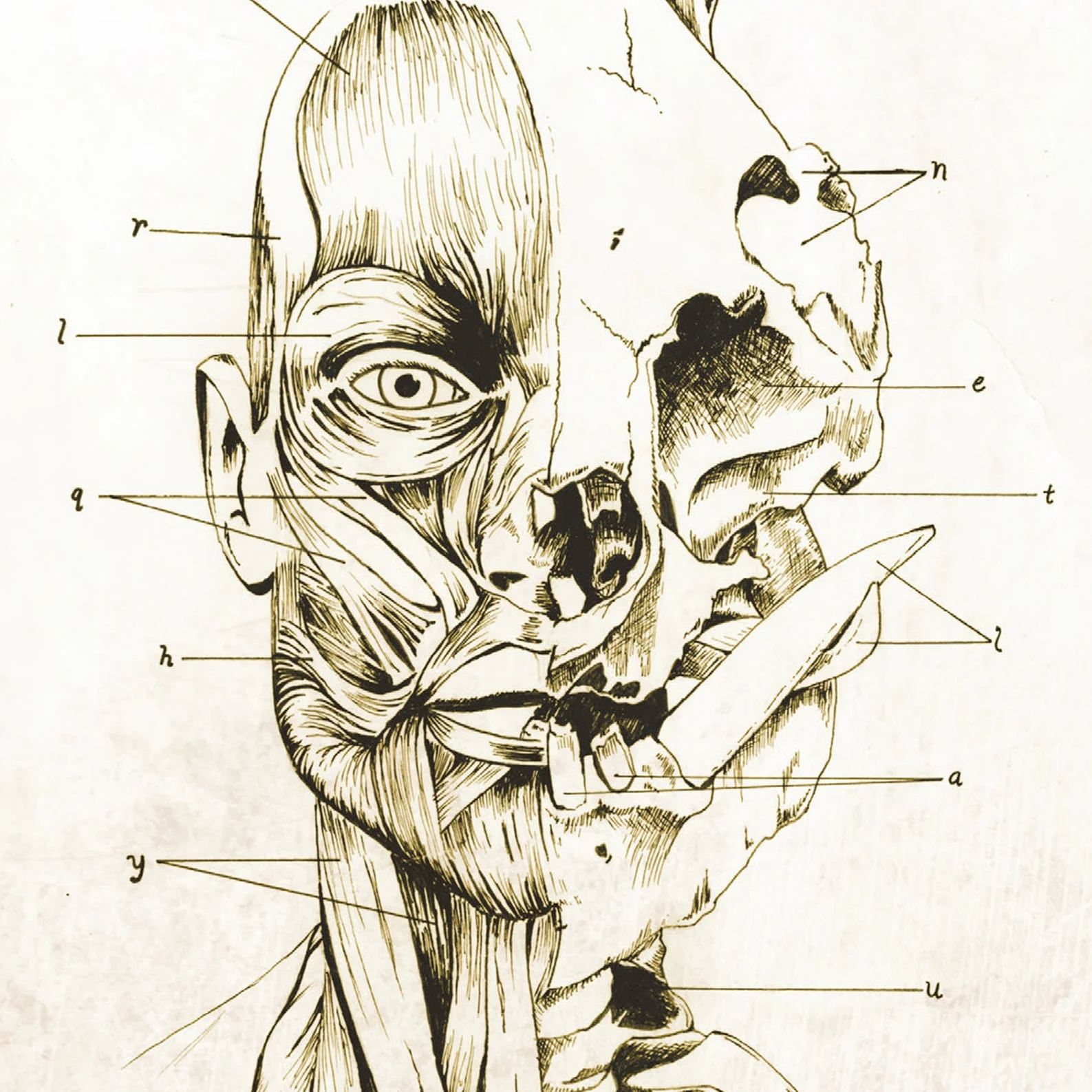 Dr Moreau Cover.jpg