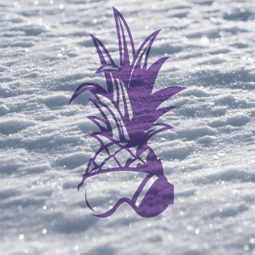 S&F cover.jpg