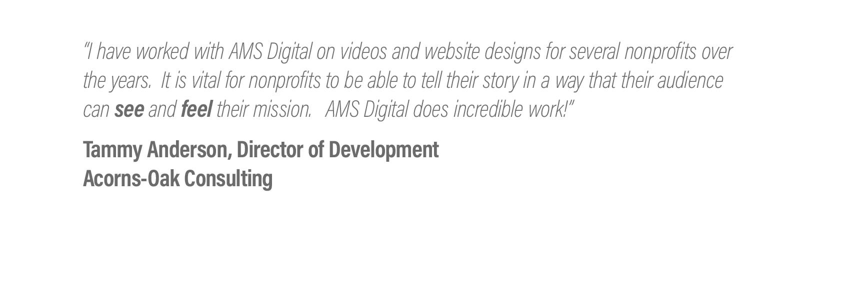   “I have worked with AMS Digital on videos and website designs for several nonprofits over the years.  It is vital for nonprofits to be able to tell their story in a way that their audience can    see    and    feel    their mission.   AMS Digital d