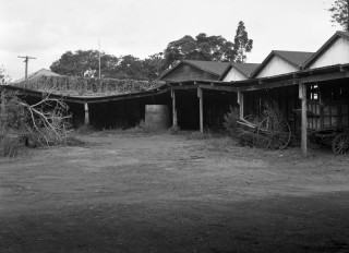 Sheds at the decommissioned sanitary depot in 1949. (Brisbane City Archives, BCC-B54-276)