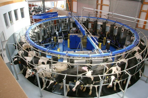 Delaval automatic milking rotary system amR™