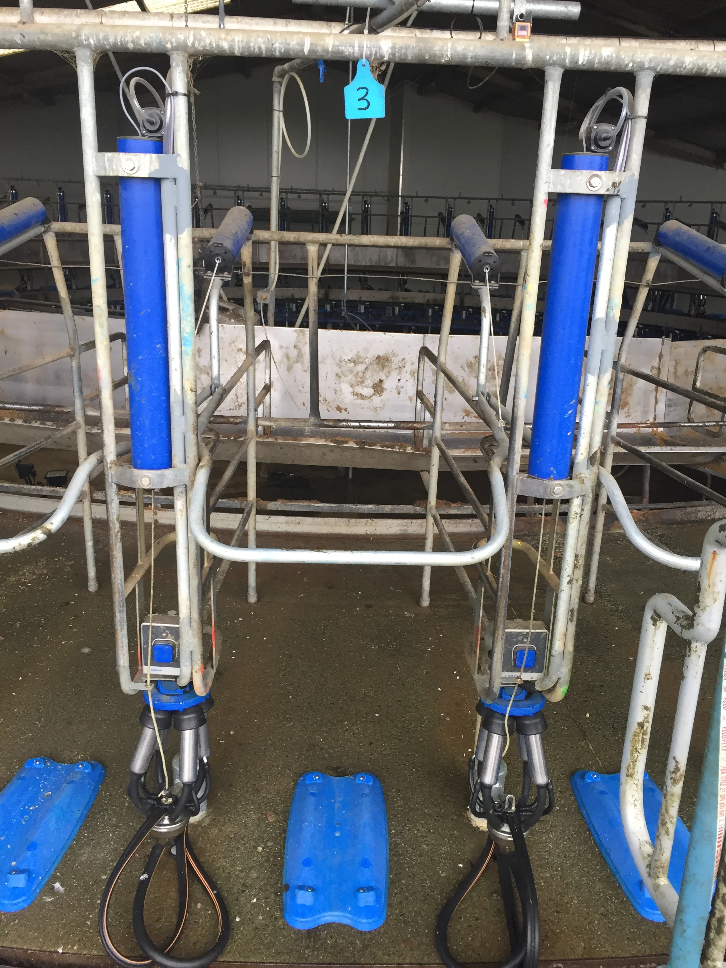 Dairy Systems — Southland Farm Services Ltd