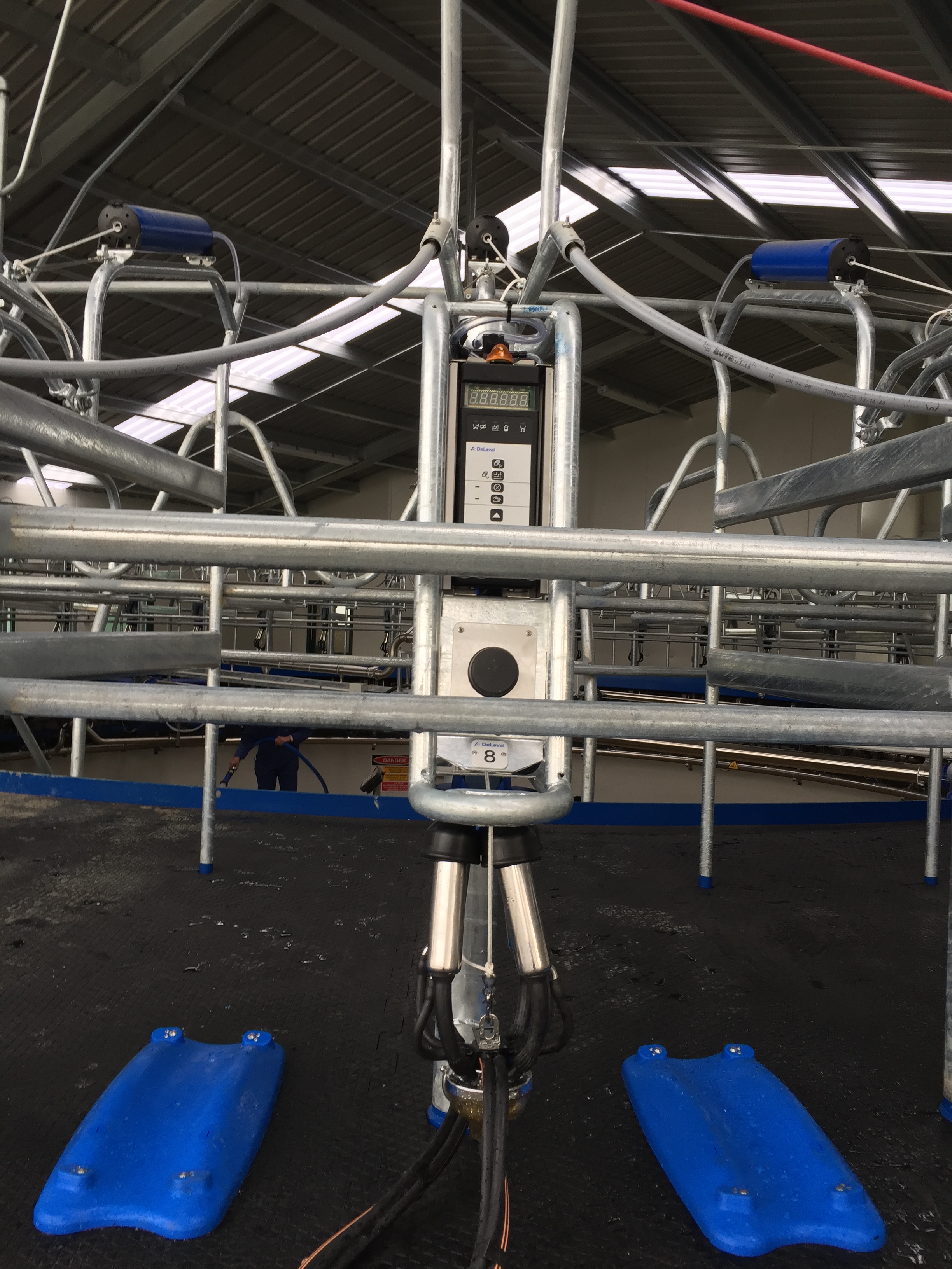 2017 installation with On deck teatspray system