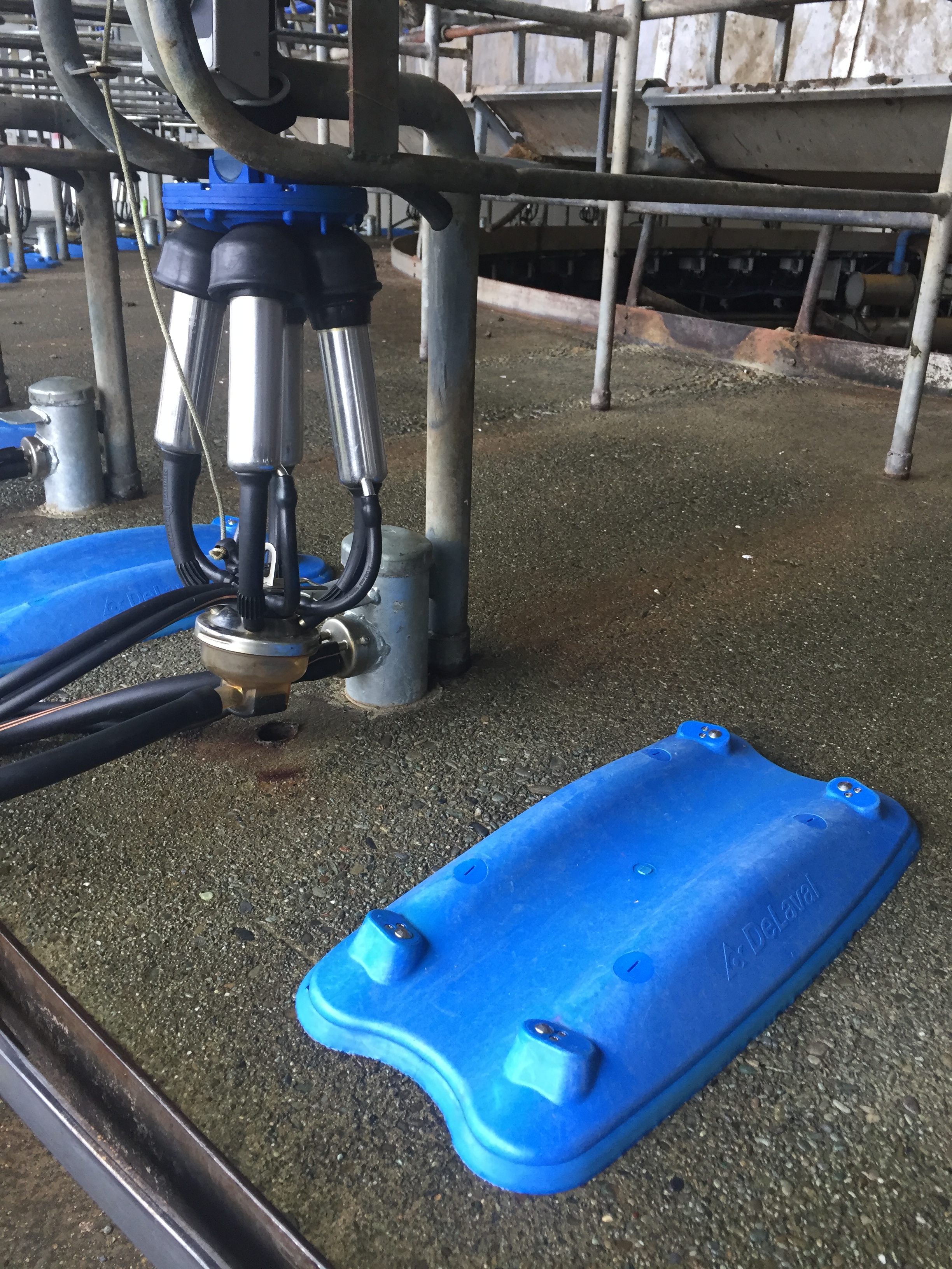 2017 upgrade with on deck teatspray system