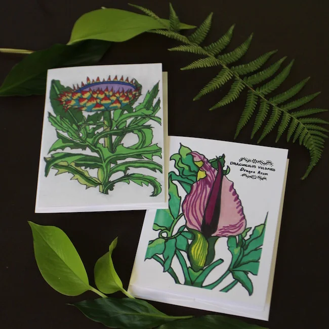 set of 10 botanical cards