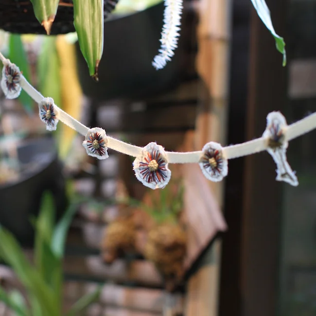 floralno1thumbnail.jpg