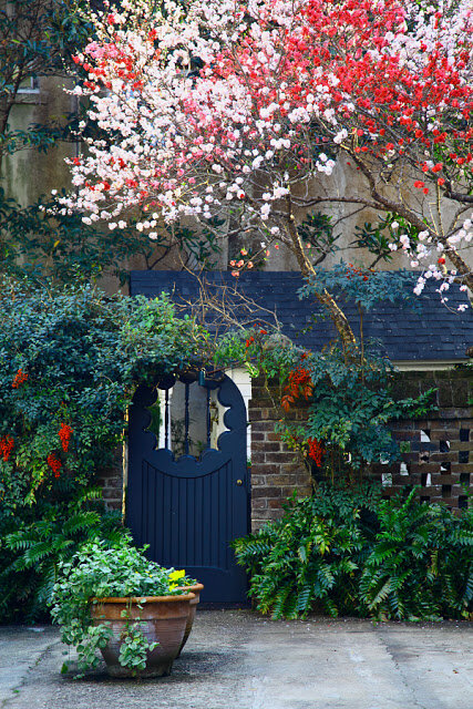 Doug Hickok photo of courtyard garden