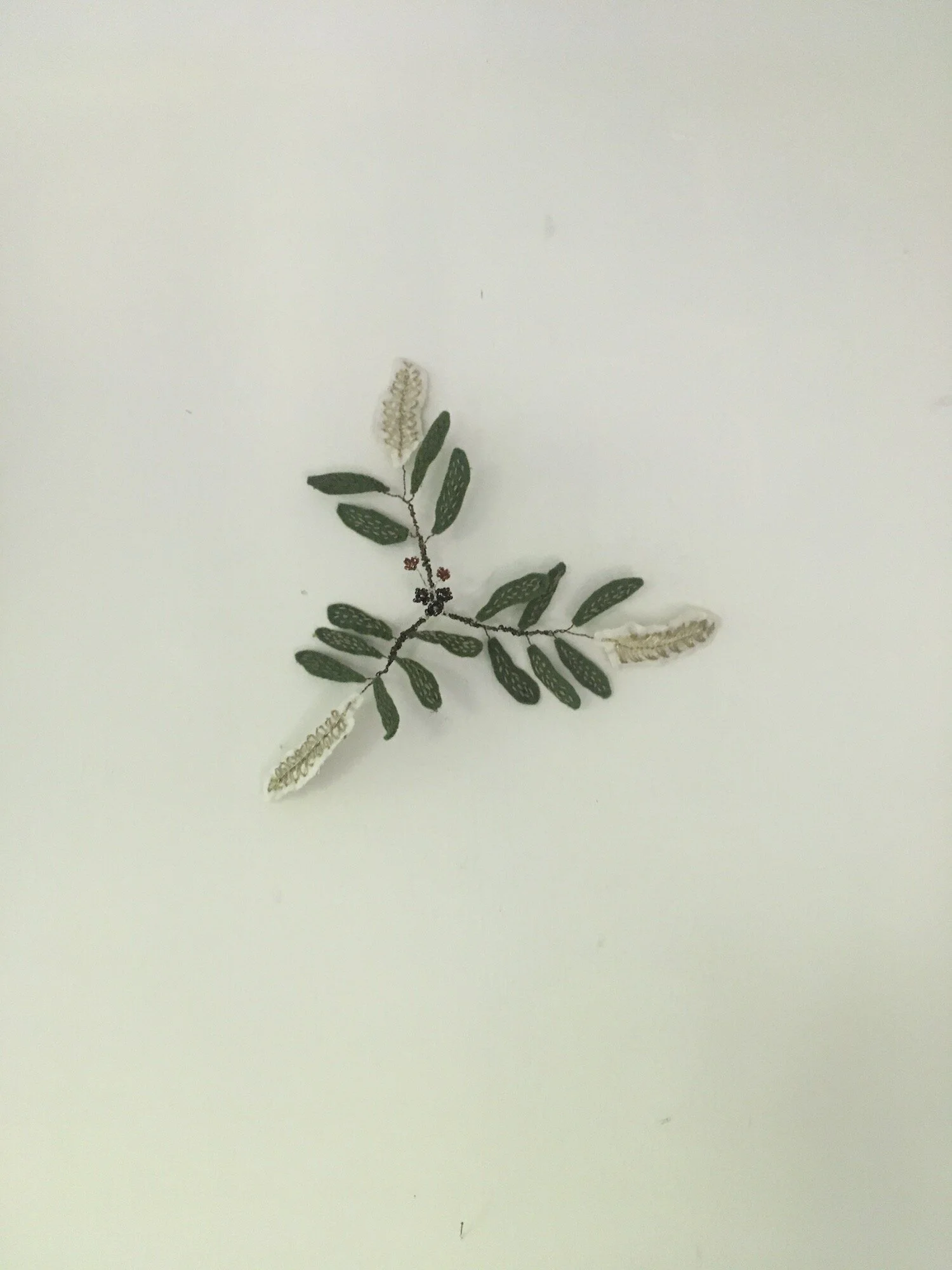 tabletopbotanicald2.JPG