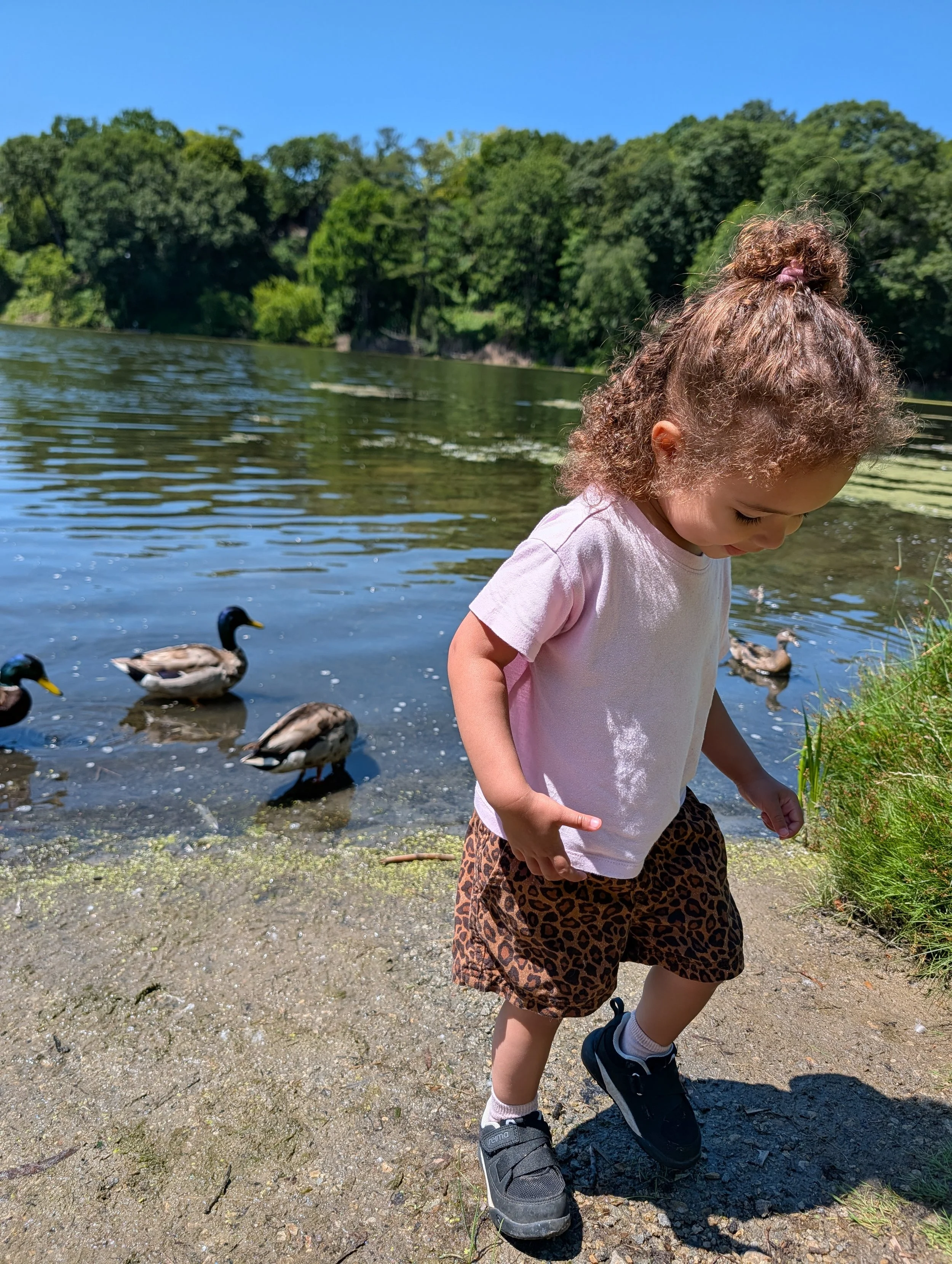 A young girl with curly hair tied up in a bun, wearing a white t-shirt, leopard print shorts, and black sneakers, standing by a lake with ducks swimming nearby. Trees line the far side of the lake under a clear blue sky.