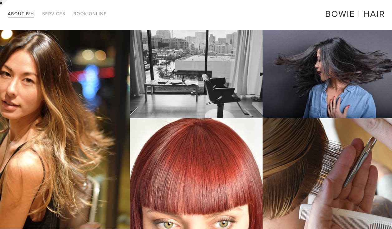 Bowie | Hair for the Modern Enthusaist