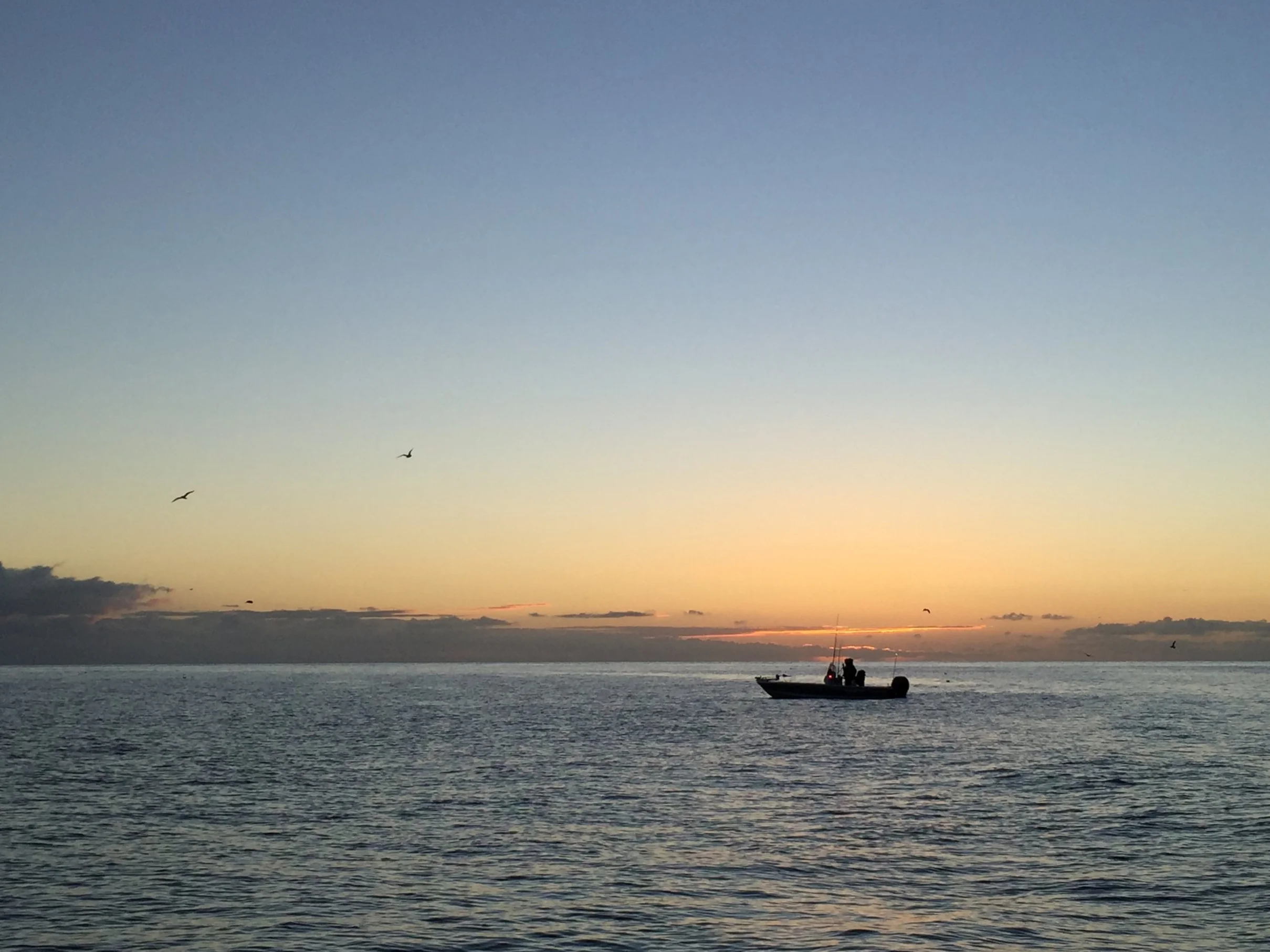 Photo Jan 01, 6 55 55 AM.jpg