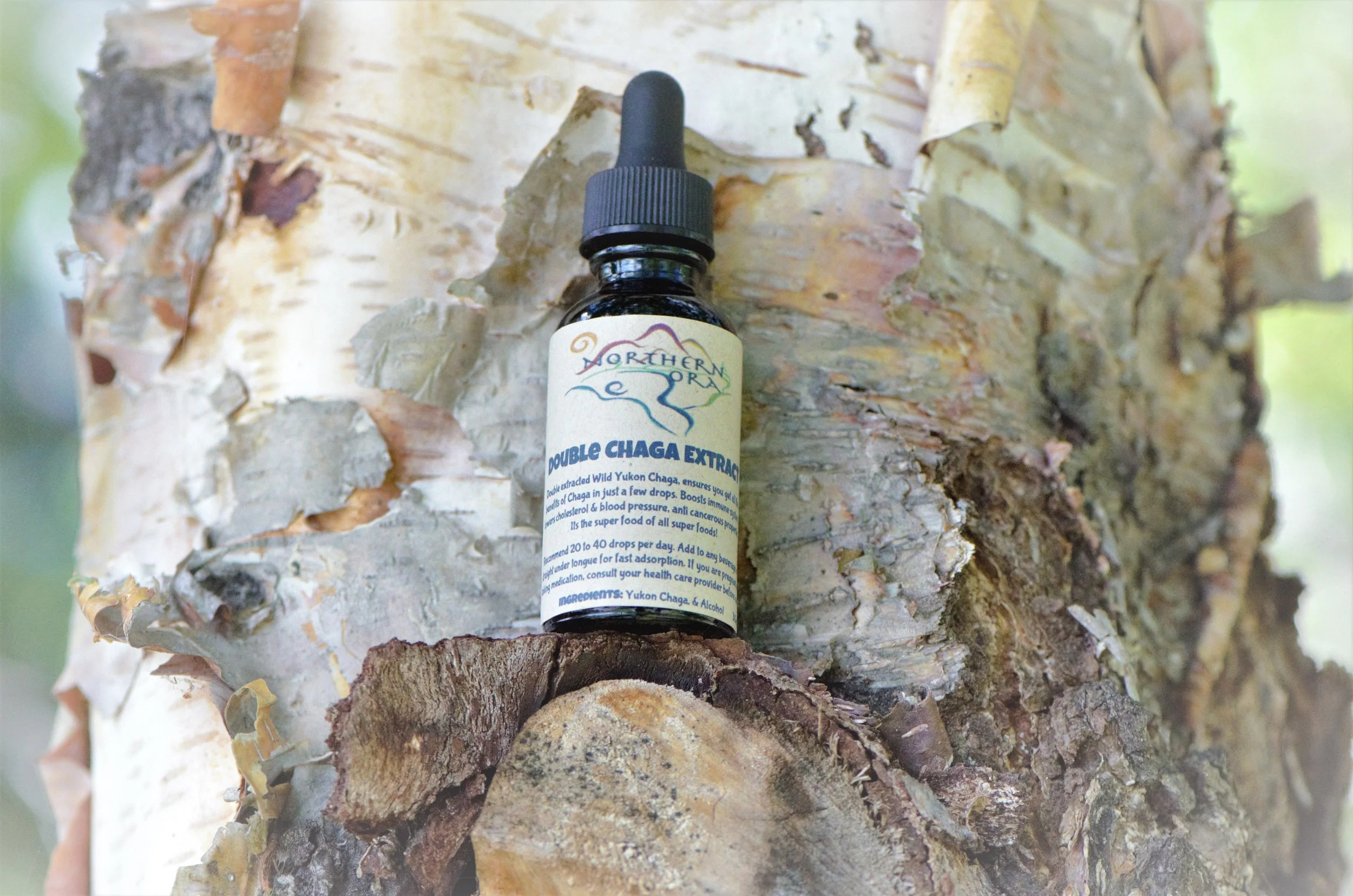 Double Chaga Extract.jpg