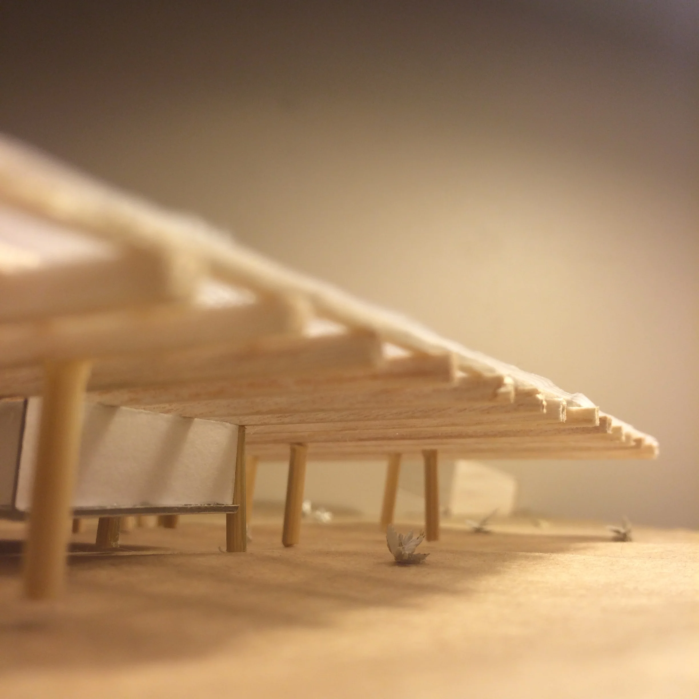 Larapinta Trail Youth Hostel