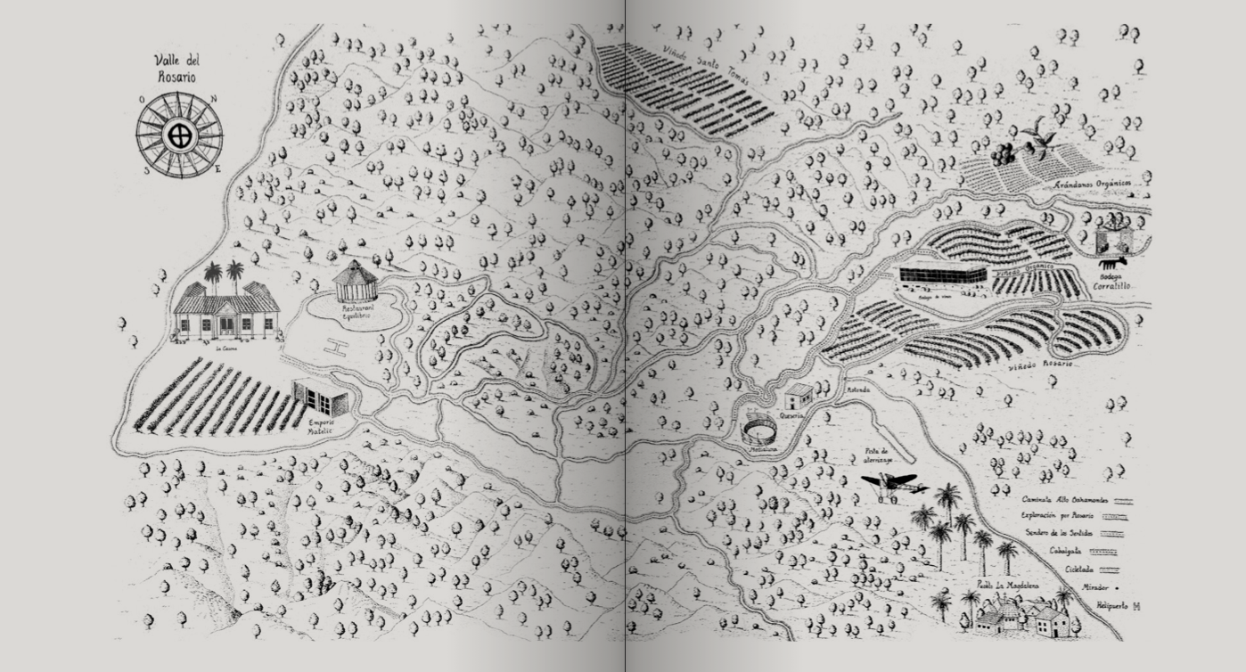 How to design a book that conveys the passion and care of Matetic Vineyards?