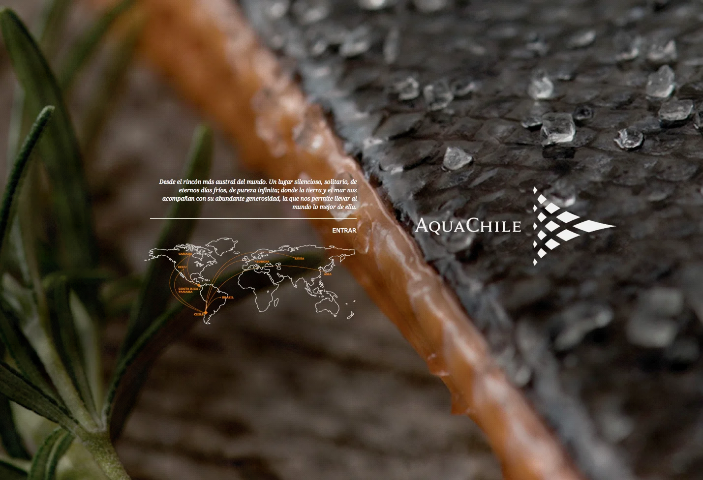 How to communicate tons of information on a website without overloading the user?