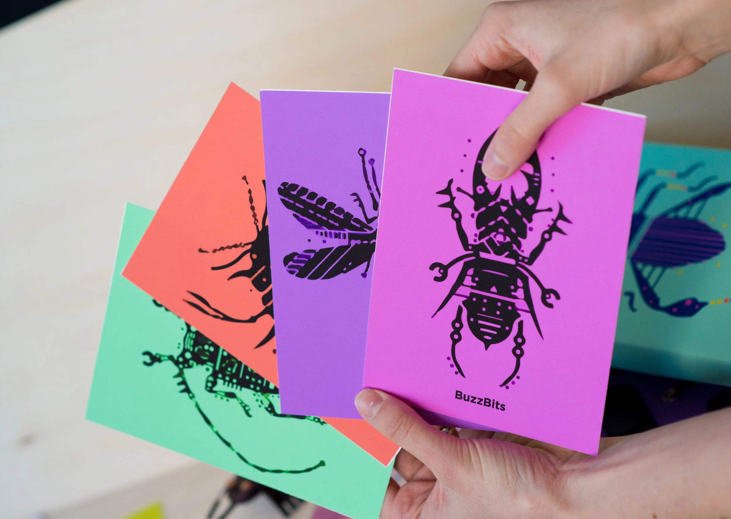 The cards enhance the key function of scaffolding the explorative learning process. They have on the front face an illustration of an insect and on the back face a graphic depiction of the resulting artifact and its components.