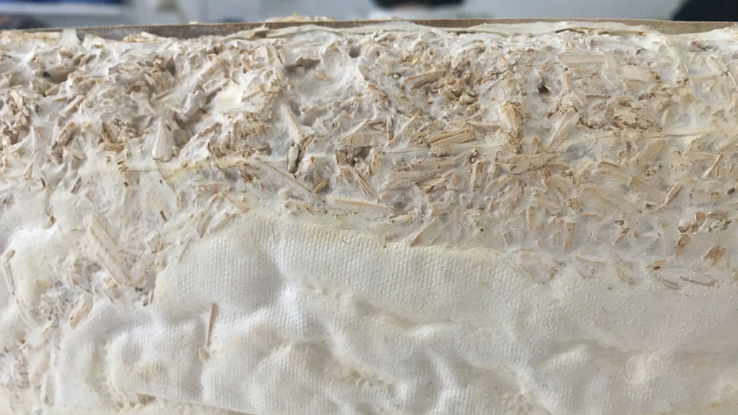 Construction block made out of mycelium and recycled woodchips. As the mycelium grows it connects the pieces of wood together making a solid block that can be molded into different shapes to make anything from chairs to packaging. The end product is…