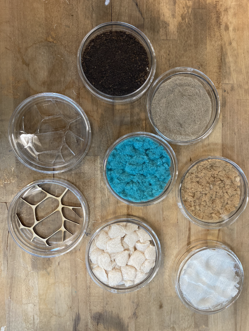 Why should we think about creativity beyond humans?