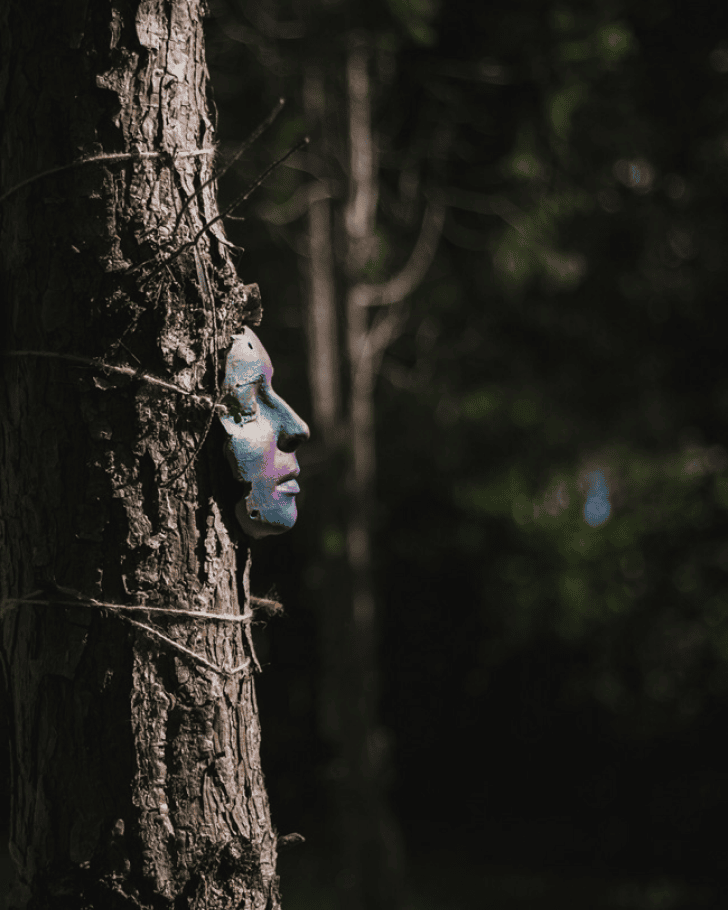 Can Ecological Storytelling Transform How We Perceive the Living World?