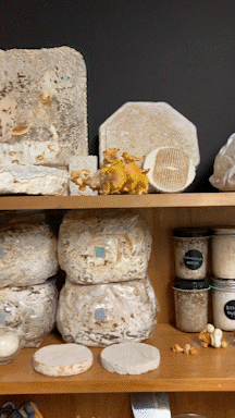 What would a space for reimagining human–nature relationships look like?