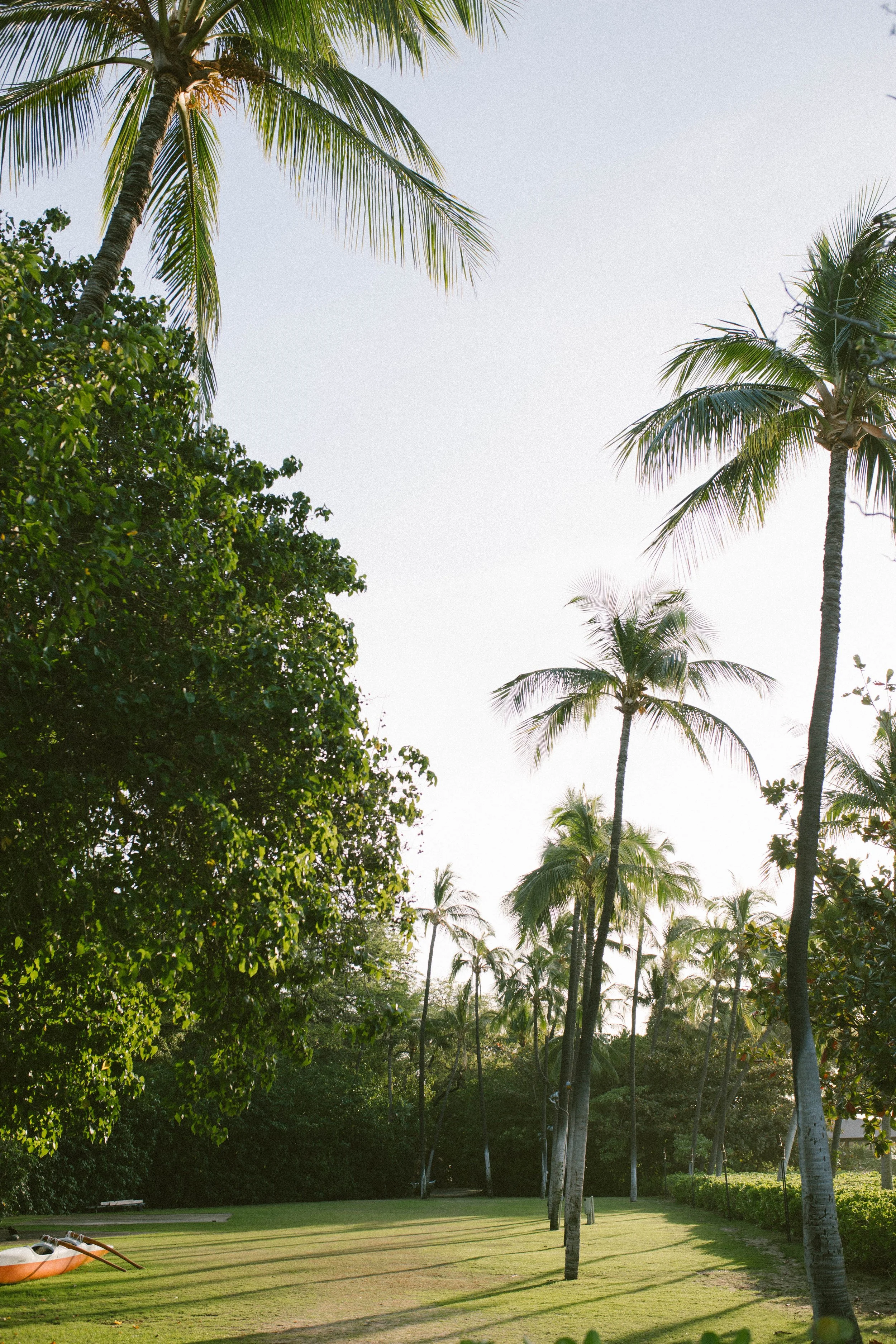 TANNABOSSPHOTOS_MaunaKeaBeach_BigIslandHawaii_.JPG