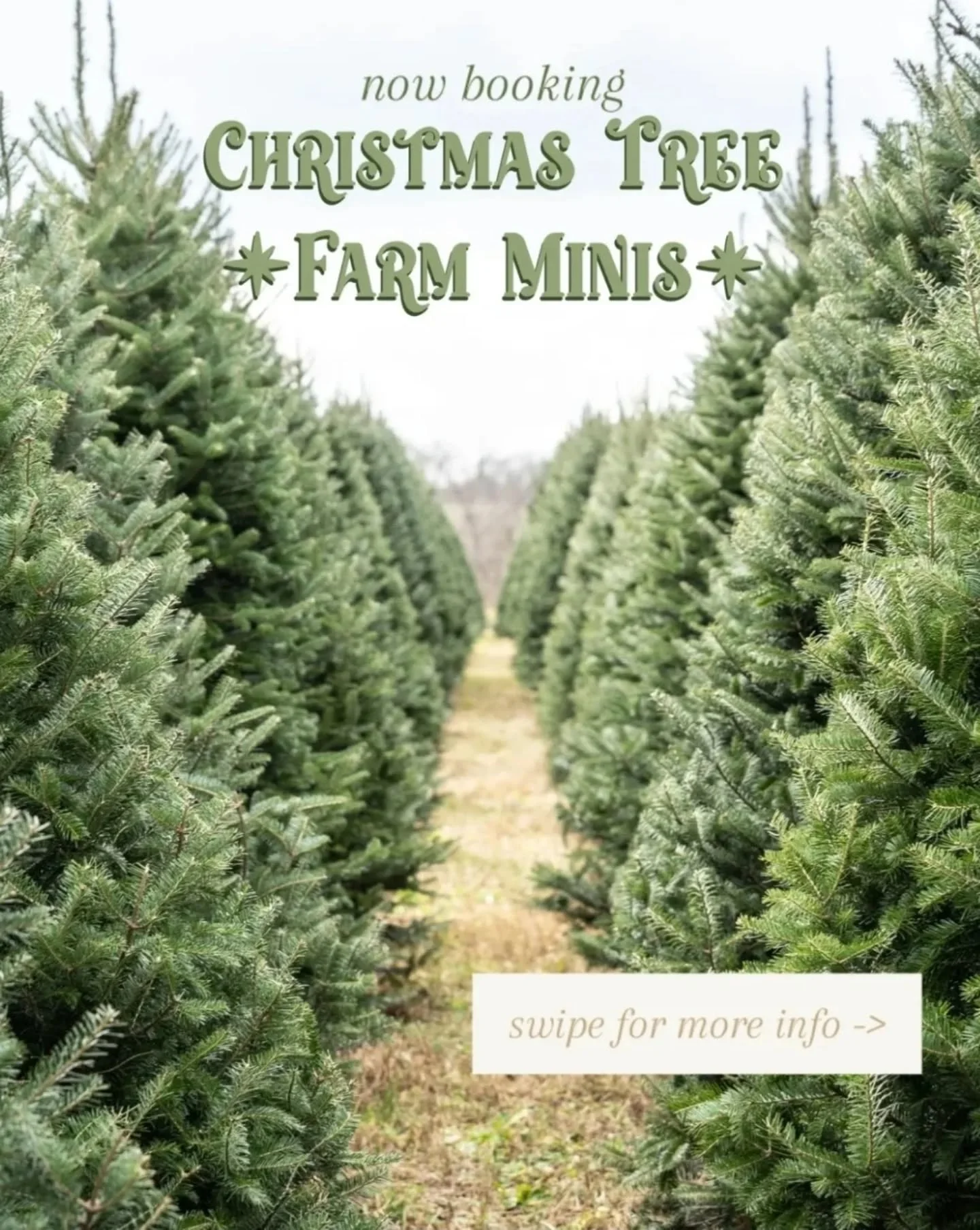 🌟🌲It's time to get Holiday Card ready 🌲🌟 

Ready to cozy up with your family in an adorable, family-owned Christmas tree farm?&nbsp; In just 15 minutes we'll get your holiday photos set for this coming season 💫 

📍Location: Bottoms Christmas Tr