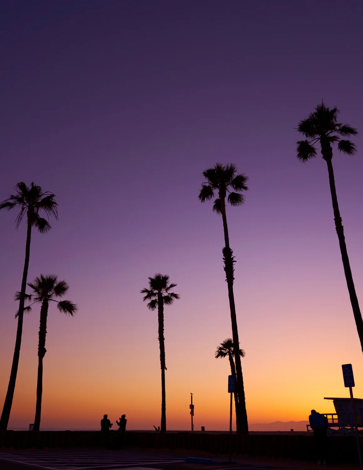POST6-SunsetPalms.jpg