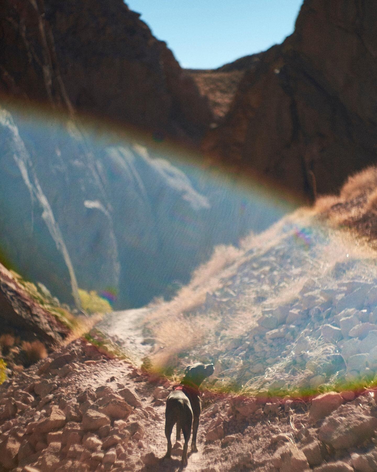 So excited for the addition of photographer @_claytonboyd_ to the roster of talent here at Curated.  Clayton was camped out over at @thenorthface for a few years and we were so lucky when he decided to take his professional career to the next level w